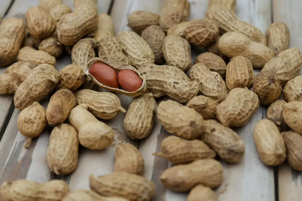 Kolonoskopie Pod Narkozou