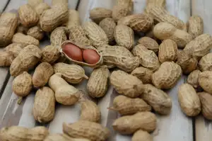 Kolonoskopie Pod Narkozou