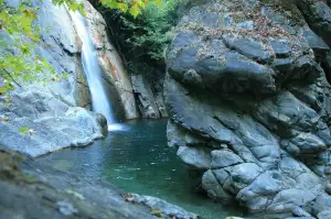 Jak Rychle Postupuje Zubní Kaz